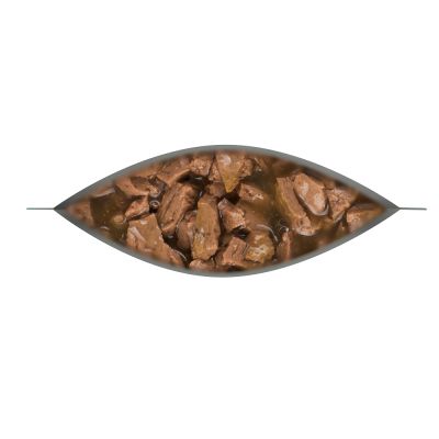 Dog Chow Adulto Pollo 100gr Dog Chow Adulto Pollo 100gr