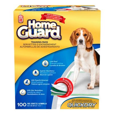 Dog It Carpeta Orientadora Medium 100 Unidades Dog It Carpeta Orientadora Medium 100 Unidades