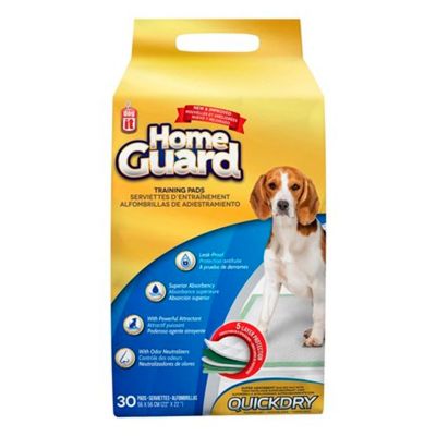 Dog It Carpeta Orientadora Medium 30 Unidades Dog It Carpeta Orientadora Medium 30 Unidades