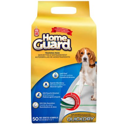 Dog It Carpeta Orientadora Medium 50 Unidades Dog It Carpeta Orientadora Medium 50 Unidades