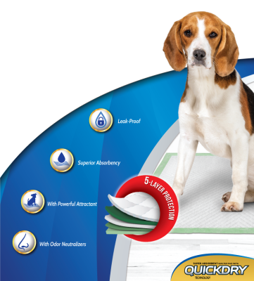 Dog It Carpeta Orientadora Small 30 Unidades Dog It Carpeta Orientadora Small 30 Unidades
