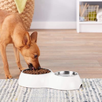 Dog it Style Plato doble blanco 160 y 350ml Dog it Style Plato doble blanco 160 y 350ml