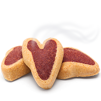 Dog Licious T Bone 65gr Dog Licious T Bone 65gr