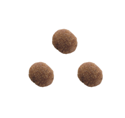 Frost Dog Adult SB 7.5kg Frost Dog Adult SB 7.5kg