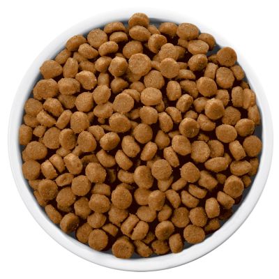Hills c/d Canino Urinary 1.5kg Hills c/d Canino Urinary 1.5kg