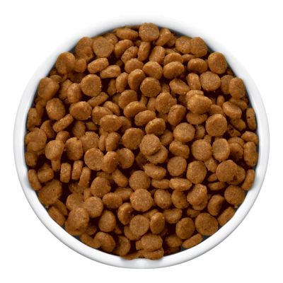 Hills c/d Stress Felino - Cuidado Urinario 2.8kg Hills c/d Stress Felino - Cuidado Urinario 2.8kg