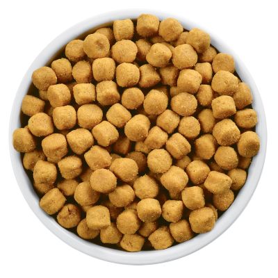 Hills h/d Canino Cuidado Cardiaco 1.5kg Hills h/d Canino Cuidado Cardiaco 1.5kg