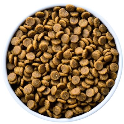 Hills k/d Canino Renal 1.5kg Hills k/d Canino Renal 1.5kg