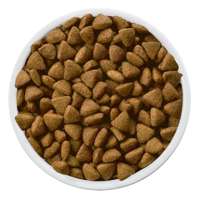 Hills Metabolic Canino 7.9kg Hills Metabolic Canino 7.9kg