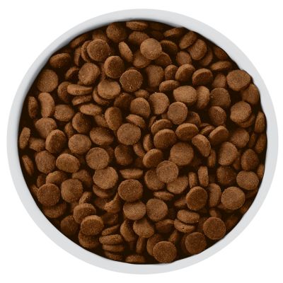 Hills w/d Canino Cuidado Digestivo, Diabetes, Manejo de Peso 7.9kg Hills w/d Canino Cuidado Digestivo, Diabetes, Manejo de Peso 7.9kg
