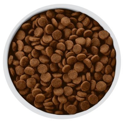 Hills w/d Canino Cuidado Digestivo, Diabetes, Manejo de Peso 1.5kg Hills w/d Canino Cuidado Digestivo, Diabetes, Manejo de Peso 1.5kg