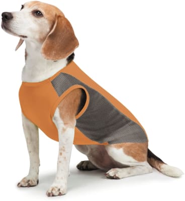 Insect Shield Chaqueta repelente de Insectos Insect Shield Chaqueta repelente de Insectos