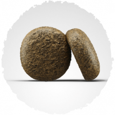 Josera Dog Adult Grain Free Lach Kartoffel (Salmón) 15kg Josera Dog Adult Grain Free Lach Kartoffel (Salmón) 15kg