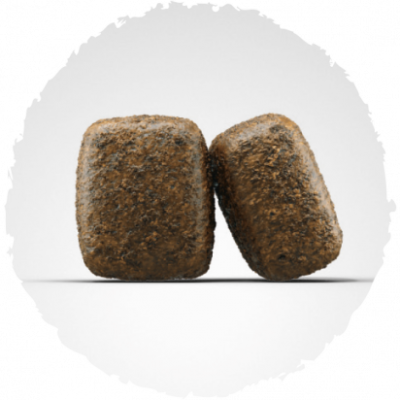 Josera Dog Adult Grain Free Nature Energetic 15kg Josera Dog Adult Grain Free Nature Energetic 15kg