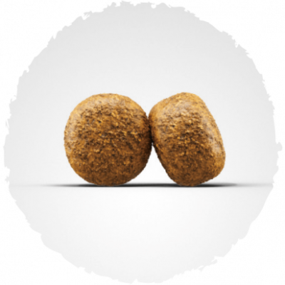 Josera Dog Senior Balance 15kg Josera Dog Senior Balance 15kg