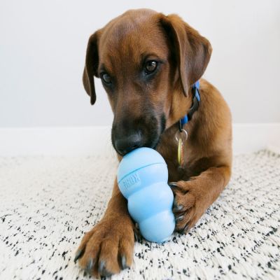 Kong Puppy MEDIUM Kong Puppy MEDIUM