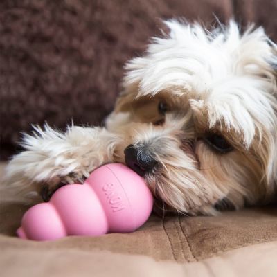 Kong Puppy SMALL Kong Puppy SMALL