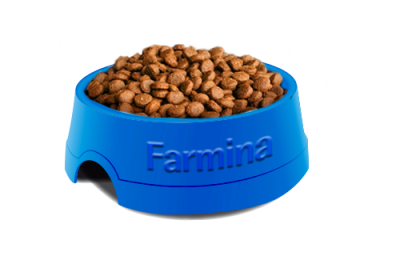 Matisse Gatitos Filhotes (Gatitos) 2kg Matisse Gatitos Filhotes (Gatitos) 2kg