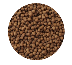 Mazuri Tortuga Acuática Turtle Diet 340gr Mazuri Tortuga Acuática Turtle Diet 340gr