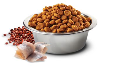 Natural and Delicious Quinoa Feline Skin Coat Arenque 1.5kg Natural and Delicious Quinoa Feline Skin Coat Arenque 1.5kg