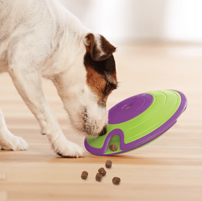 Nina Ottosson Dispensador Maze Nivel 2 Juguete para Perros Nina Ottosson Dispensador Maze Nivel 2 Juguete para Perros