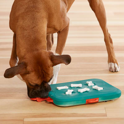 Nina Ottosson Puzzle Casino Nivel 3 Juguete para Perros Nina Ottosson Puzzle Casino Nivel 3 Juguete para Perros