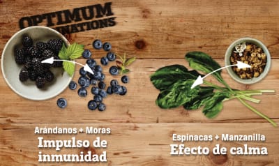 Nutram T28 Total Grain-Free 2kg Nutram T28 Total Grain-Free 2kg
