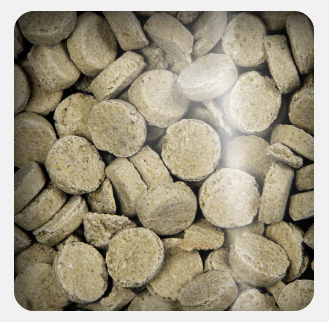 Oven Baked Dog Bacon Treats 227gr Oven Baked Dog Bacon Treats 227gr