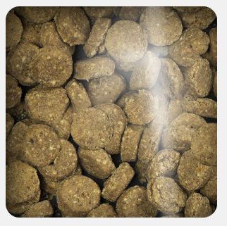 Oven Baked Dog Grain Free Chicken Pumpkin Treats 227gr Oven Baked Dog Grain Free Chicken Pumpkin Treats 227gr