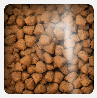 Oven Baked Cat Grain Free Chicken 2.27kg Oven Baked Cat Grain Free Chicken 2.27kg