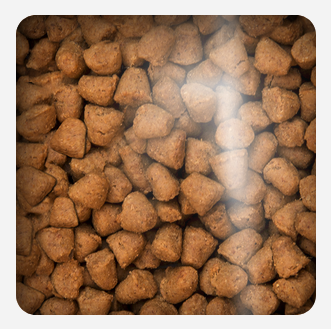 Oven Baked Cat Grain Free Duck 2.27kg Oven Baked Cat Grain Free Duck 2.27kg