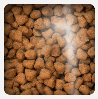 Oven Baked Cat Grain Free Fish 2.27kg Oven Baked Cat Grain Free Fish 2.27kg