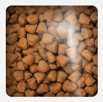 Oven Baked Cat Traditional Adult Chicken 2.27kg Oven Baked Cat Traditional Adult Chicken 2.27kg