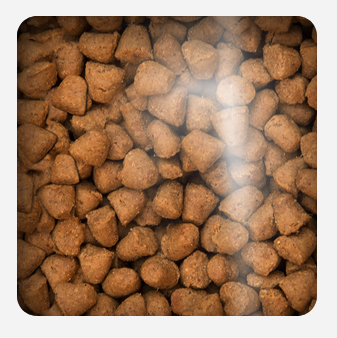 Oven Baked Cat Traditional Adult Fish 2.27kg Oven Baked Cat Traditional Adult Fish 2.27kg