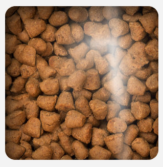 Oven Baked Cat Traditional Kitten Chicken 2.27kg Oven Baked Cat Traditional Kitten Chicken 2.27kg