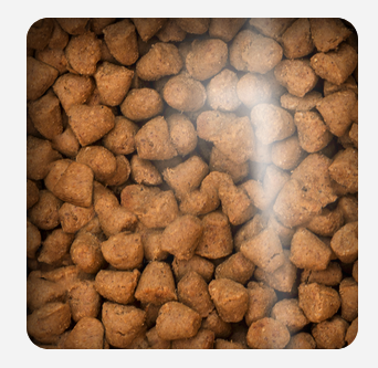 Oven Baked Cat Traditional Senior and Light Chicken 4.54kg Oven Baked Cat Traditional Senior and Light Chicken 4.54kg