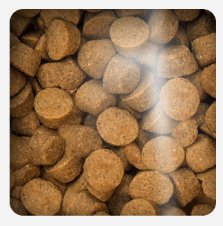 Oven Baked Dog Grain Free Duck All Breed 10.43kg Oven Baked Dog Grain Free Duck All Breed 10.43kg