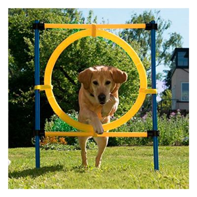 Pawise Agility Aro Pawise Agility Aro
