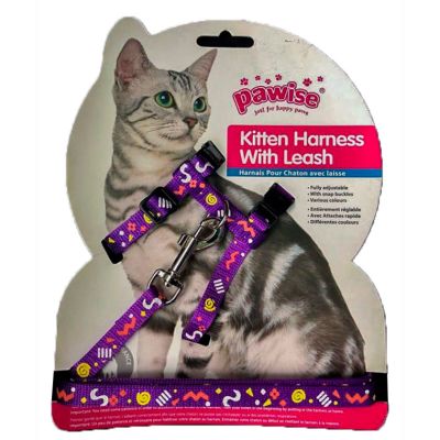 Pawise Arnes con Trailla Pawise Arnes con Trailla