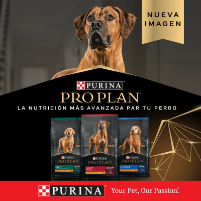 Purina Pro Plan Puppy Small con OptiStar 7.5kg Purina Pro Plan Puppy Small con OptiStar 7.5kg