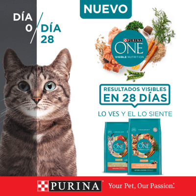 PURINA® ONE® Adulto Pollo y Salmón 6kg PURINA® ONE® Adulto Pollo y Salmón 6kg