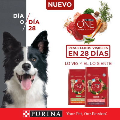 PURINA® ONE® Cachorro Pollo y Carne 12kg PURINA® ONE® Cachorro Pollo y Carne 12kg