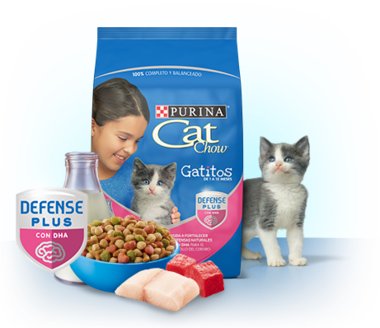 Purina Cat Chow Gatitos 15kg Purina Cat Chow Gatitos 15kg