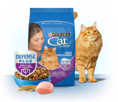Purina Cat Chow Peso Saludable con Defense Plus 8kg Purina Cat Chow Peso Saludable con Defense Plus 8kg