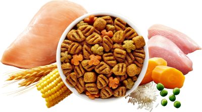 Purina Dog Chow Adultos Pollo y Pavo 18kg Purina Dog Chow Adultos Pollo y Pavo 18kg