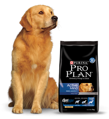 Purina Pro Plan Active Mind 7+ Medium and Large con OptiAge 15kg Purina Pro Plan Active Mind 7+ Medium and Large con OptiAge 15kg