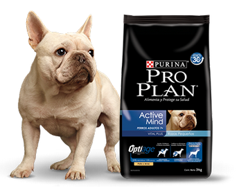 Purina Pro Plan Active Mind 7+ Small con OptiAge 7.5kg Purina Pro Plan Active Mind 7+ Small con OptiAge 7.5kg