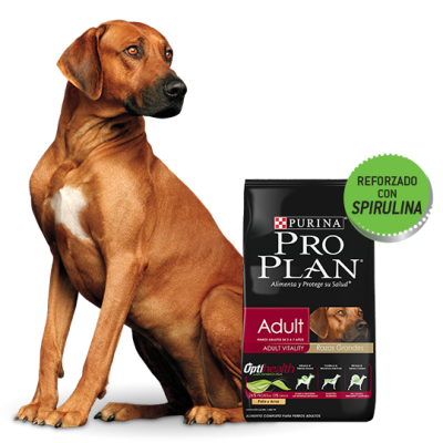 Purina Pro Plan Adult Large con OptiLife 15kg Purina Pro Plan Adult Large con OptiLife 15kg