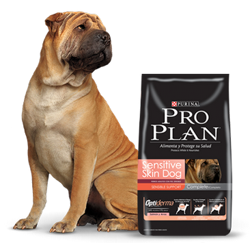 Purina Pro Plan Adult Sensitive Skin con OptiDerma 3kg Purina Pro Plan Adult Sensitive Skin con OptiDerma 3kg