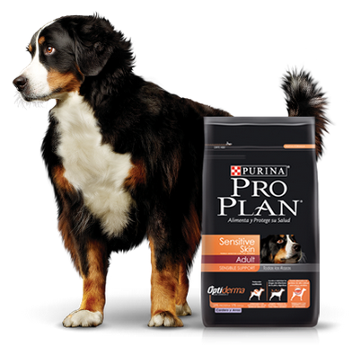 Purina Pro Plan Adult Sensitive Skin Cordero con OptiDerma 3kg Purina Pro Plan Adult Sensitive Skin Cordero con OptiDerma 3kg